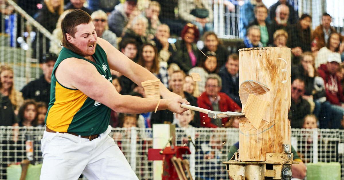 wood-chop-swing-arc